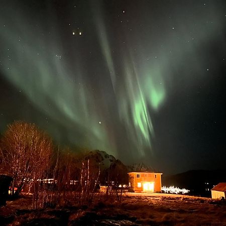 Pederstua, A Classic Fisherman'S Farm House In The Middle Of Lofoten Storeidet Buitenkant foto