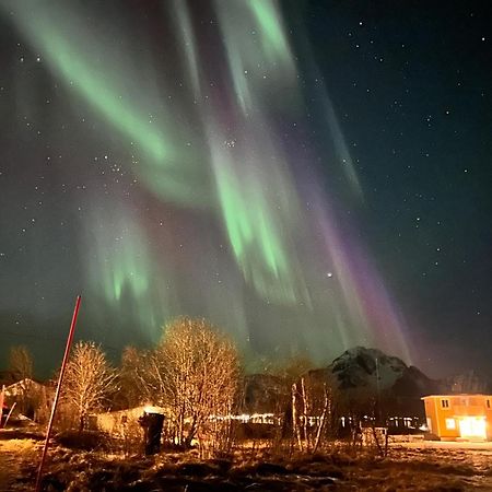 Pederstua, A Classic Fisherman'S Farm House In The Middle Of Lofoten Storeidet Buitenkant foto