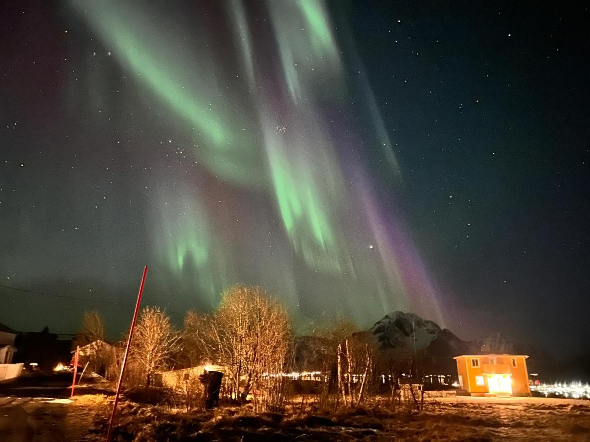 Pederstua, A Classic Fisherman'S Farm House In The Middle Of Lofoten Storeidet Buitenkant foto